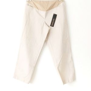 Ann Taylor LOFT Maternity Pants 6
